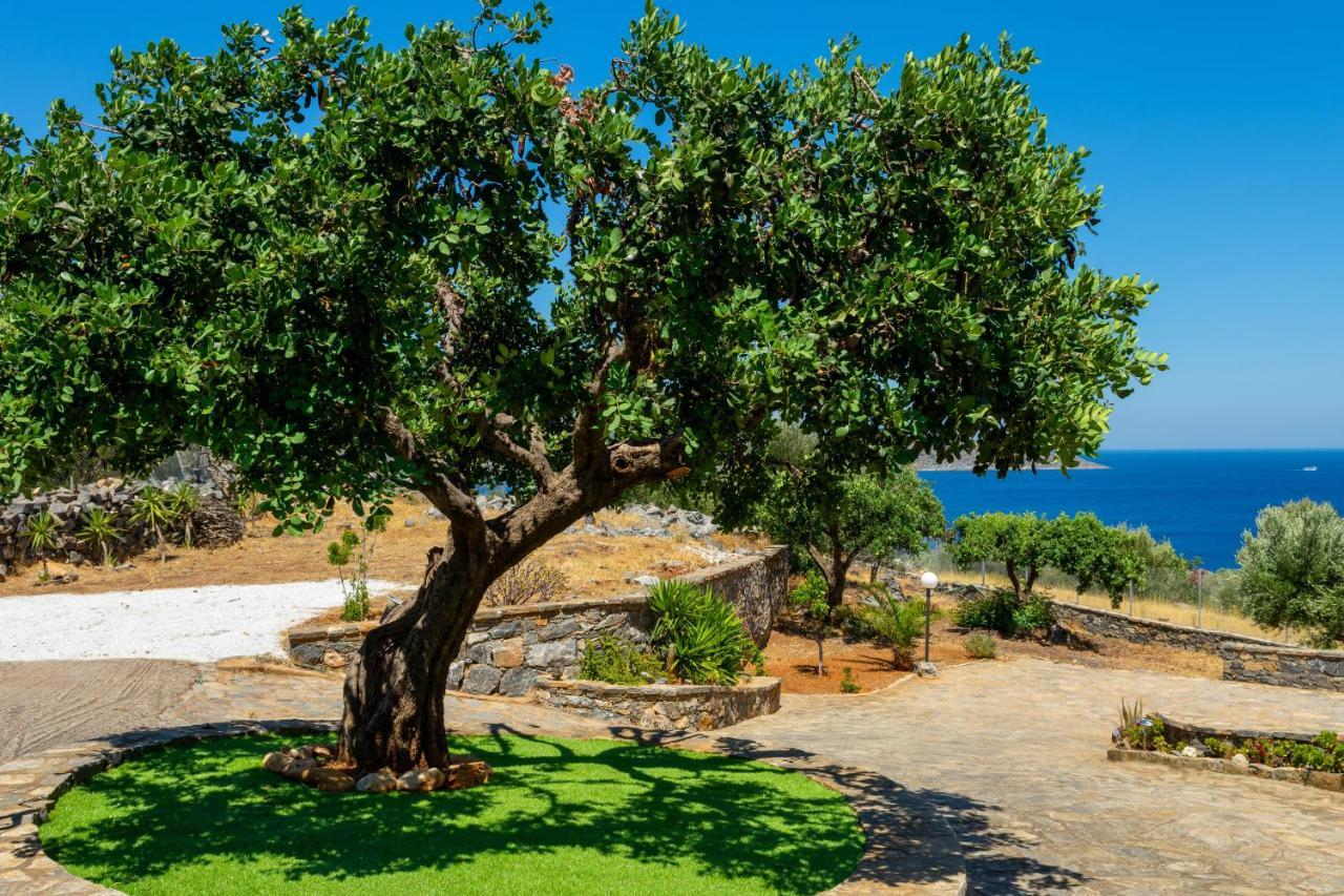 Elounda Anemelia Apartments Zewnętrze zdjęcie
